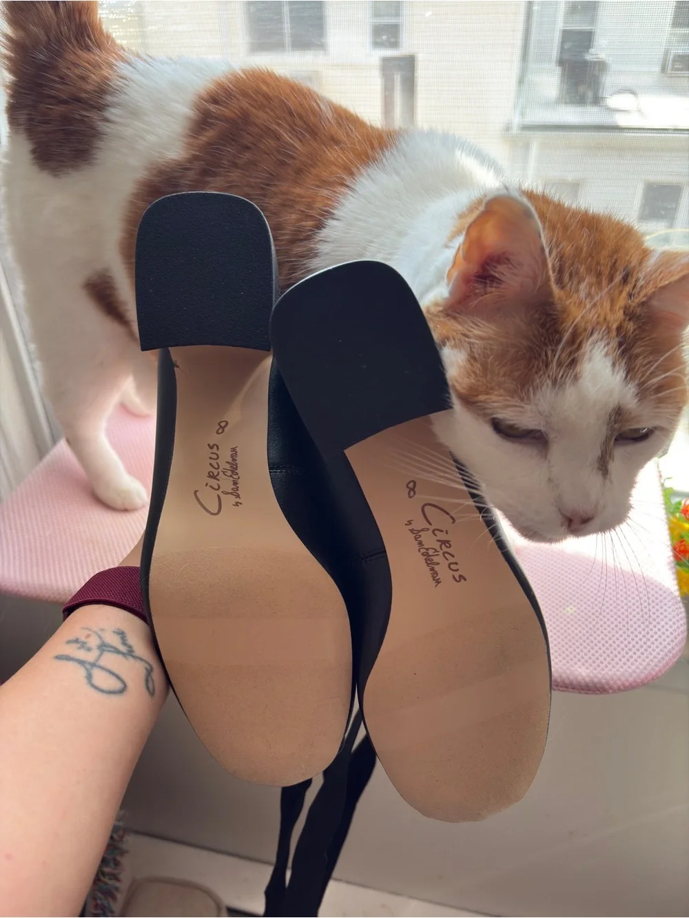 Sam Edelman Della Black Nappa Leather Ballerina Heels